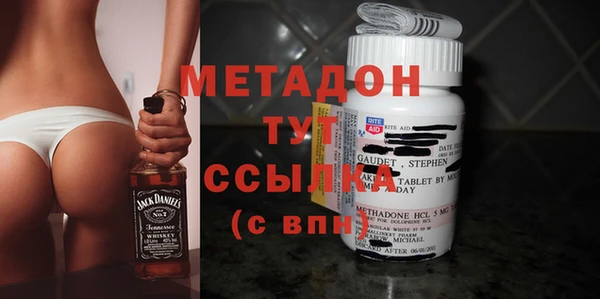 индика Снежногорск