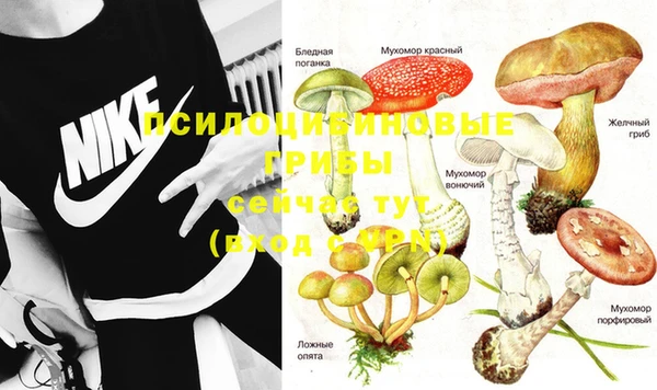 индика Снежногорск
