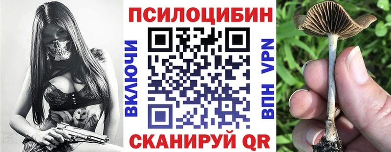 Псилоцибиновые грибы Psilocybine cubensis  как найти наркотики  Северо-Курильск 